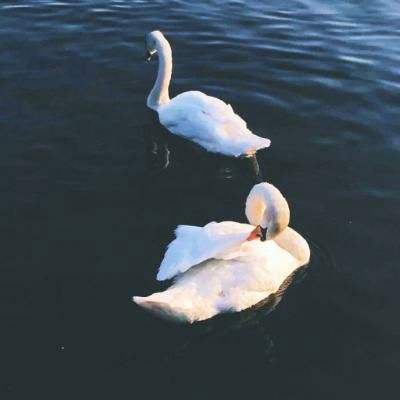 PG麻将胡了免费版手机app下载截图