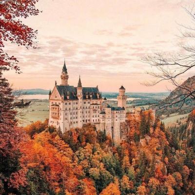 天博网页版入口平台