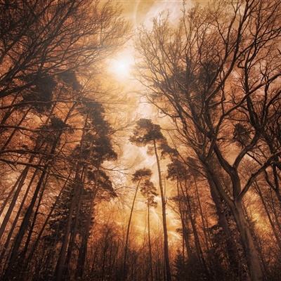 pg棋牌软件平台下载手机版