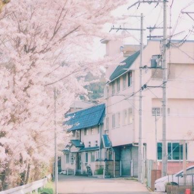 北京pk赛车app官网下载安装