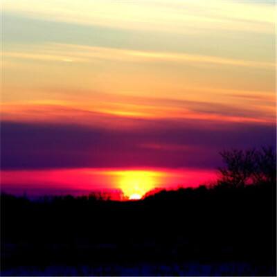 威斯尼斯wns888入口官方版下载