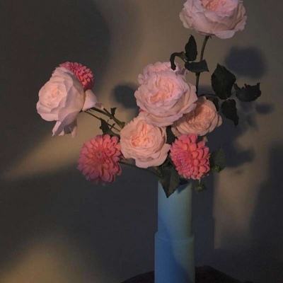 易倍app官网下载