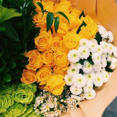 亚搏apo官网下载